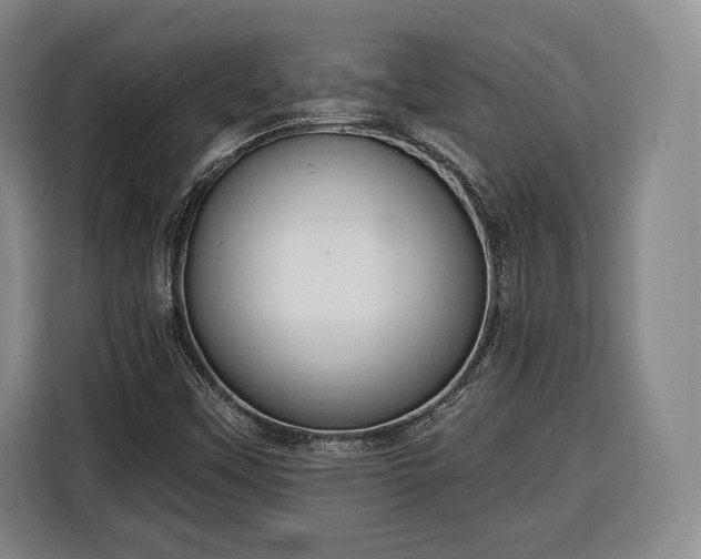 X0000116341451200912091100