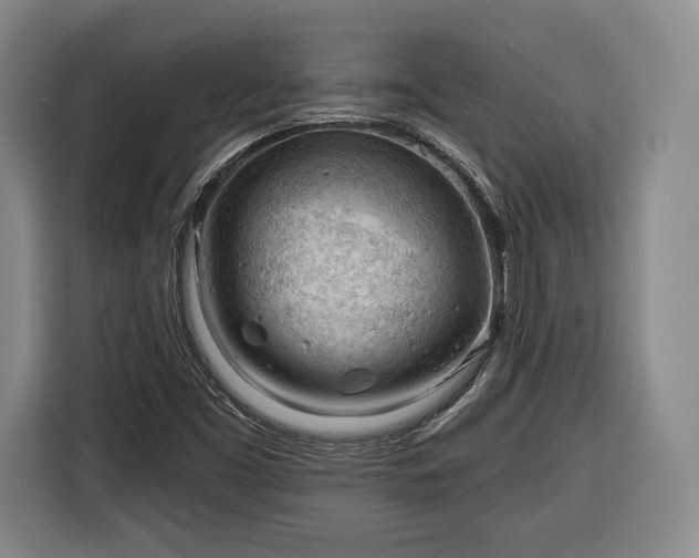 X0000116341453200912091100