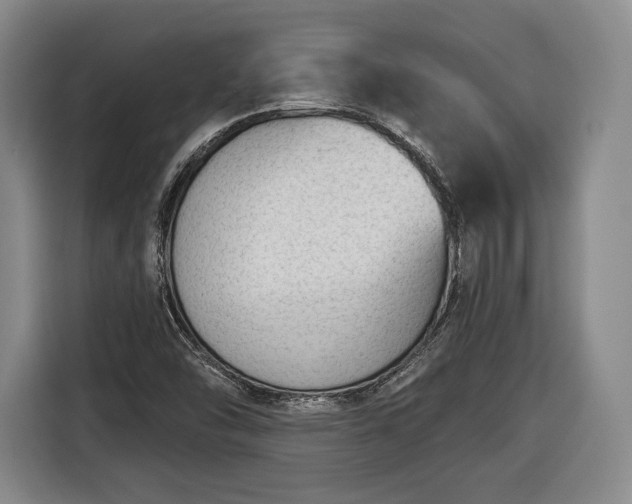 X0000116341454200912091100