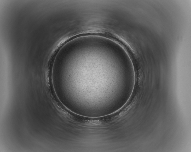 X0000116341455200912091100