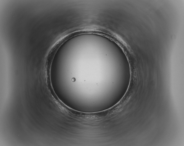 X0000116341456200912091100