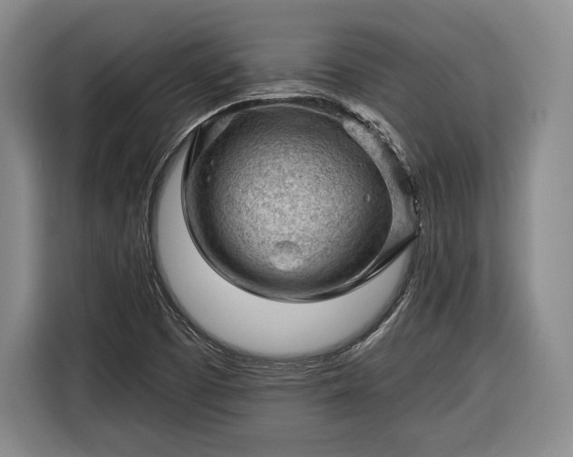 X0000116341457200912091100