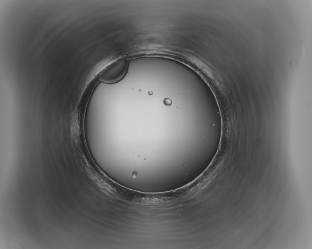 X0000116341458200912091100