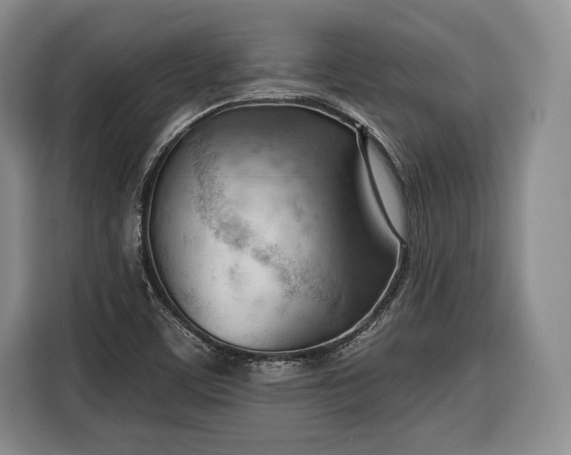 X0000116341459200912091100