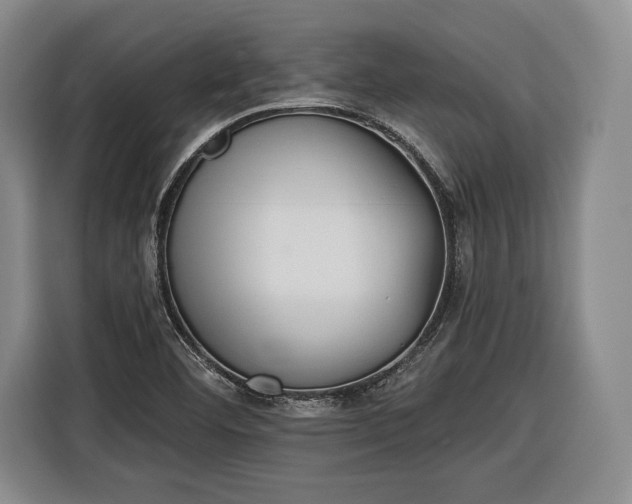 X0000116341460200912091100