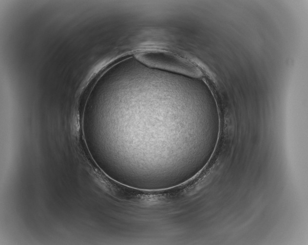 X0000116341461200912091100