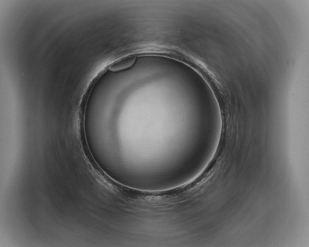 X0000116341463200912091100