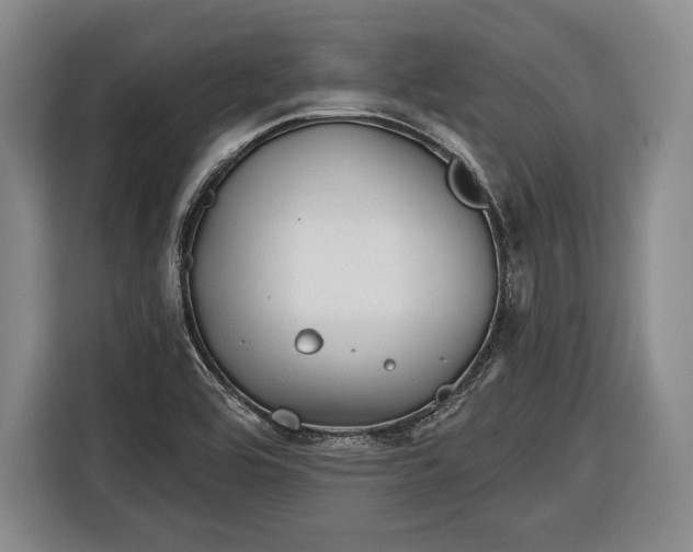 X0000116341464200912091100