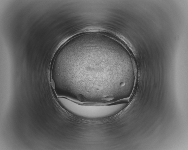 X0000116341465200912091100