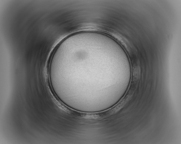 X0000116341466200912091100