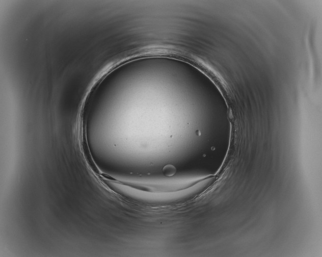 X0000116341467200912091100