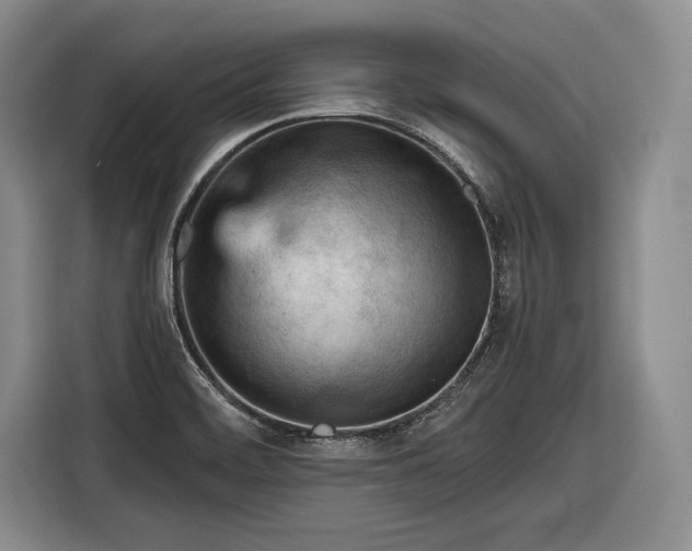 X0000116341468200912091100