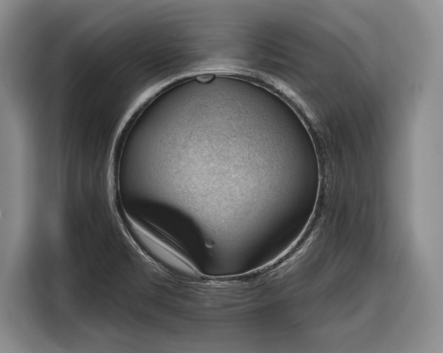 X0000116341469200912091100