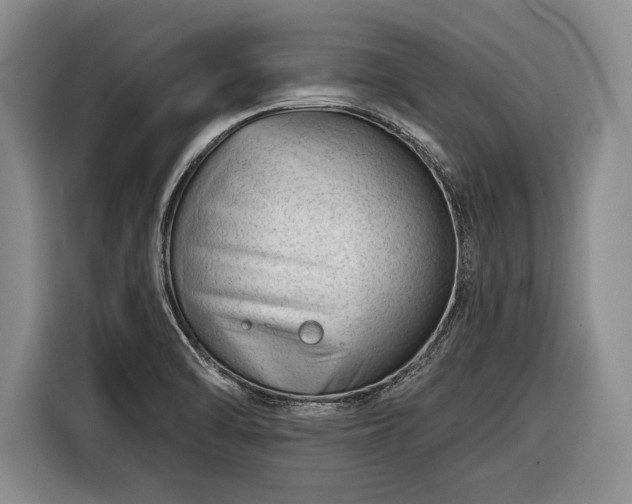 X0000116341470200912091100