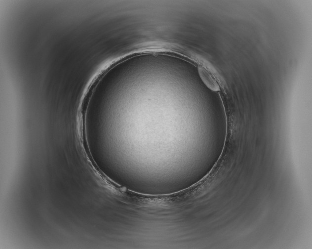 X0000116341472200912091100