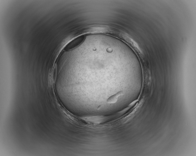 X0000116341473200912091100