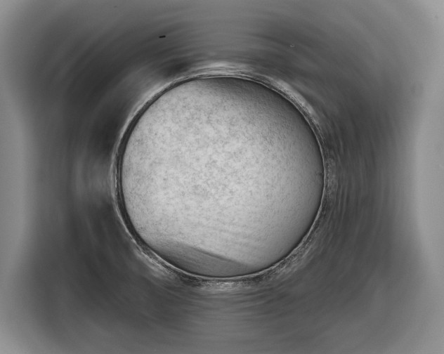 X0000116341474200912091100