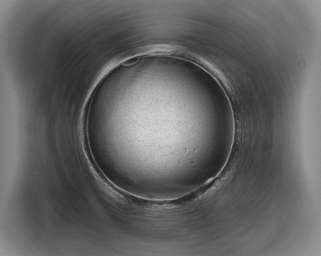 X0000116341475200912091100