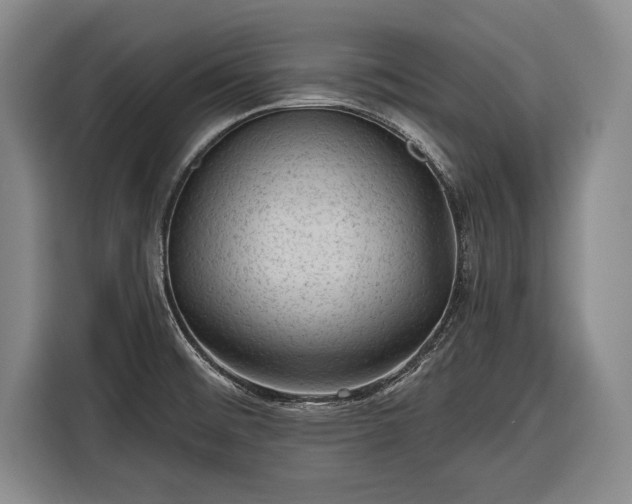 X0000116341476200912091100