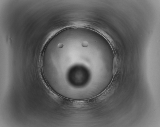 X0000116341477200912091100