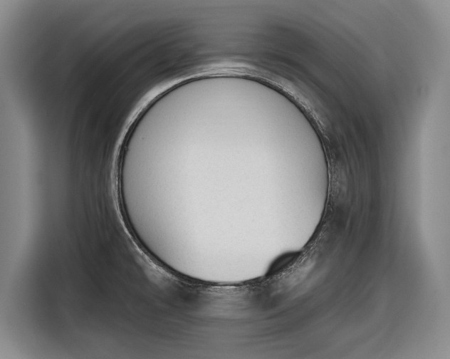 X0000116341478200912091059