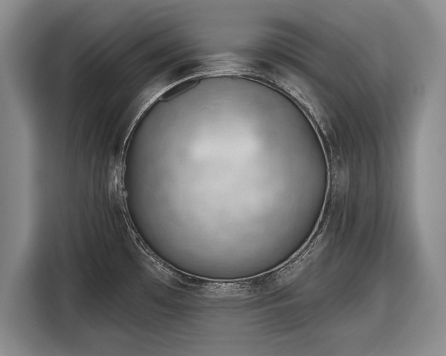 X0000116341481200912091059