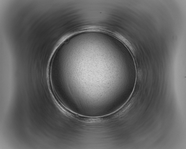 X0000116341482200912091059