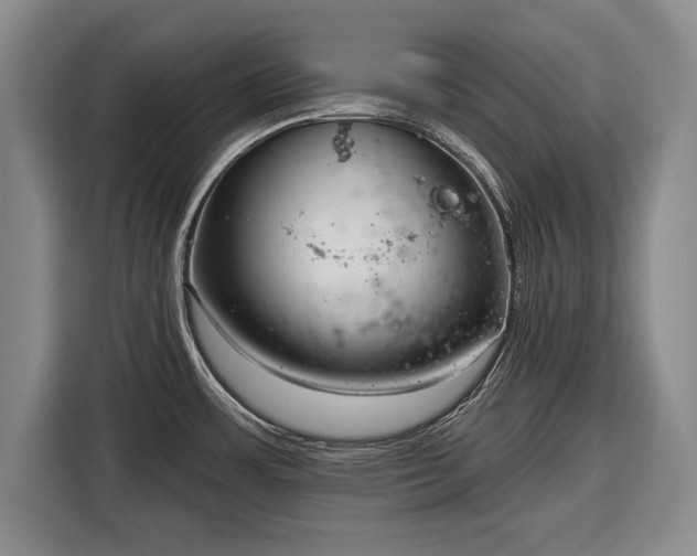 X0000116341483200912091059