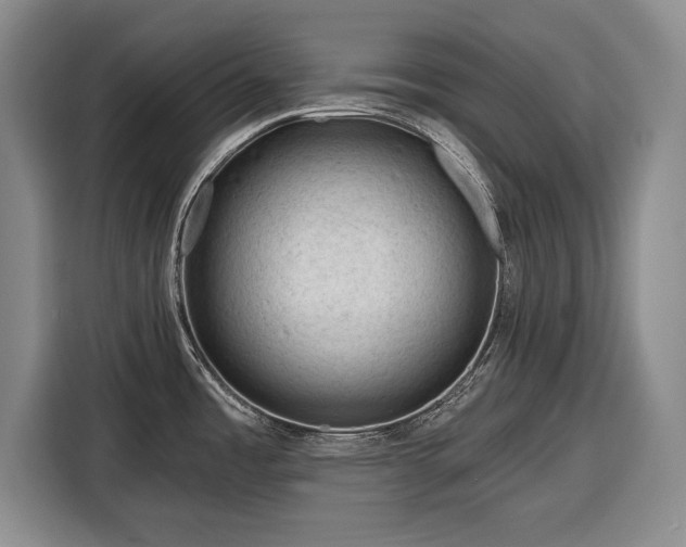 X0000116341485200912091059