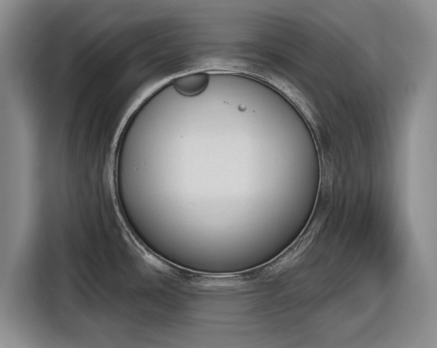 X0000116341486200912091059