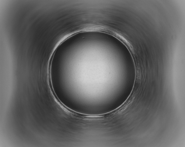 X0000116341487200912091059