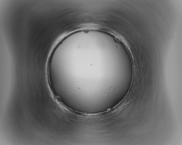 X0000116341488200912091059