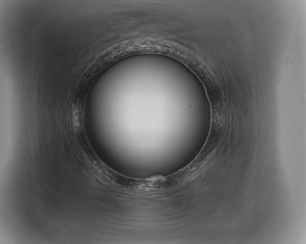 X0000116341490200912091059