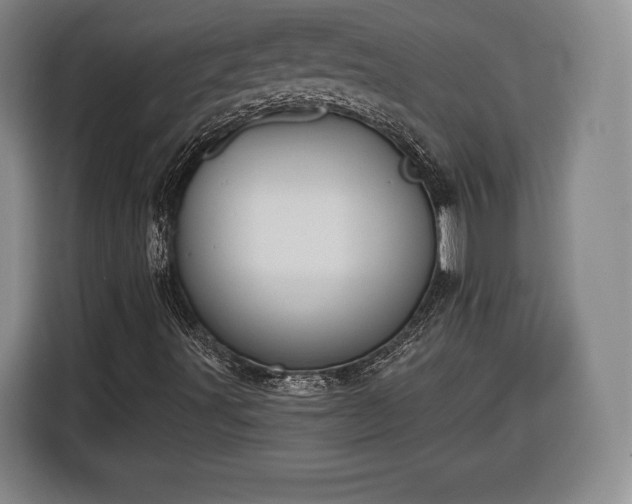 X0000116341491200912091059