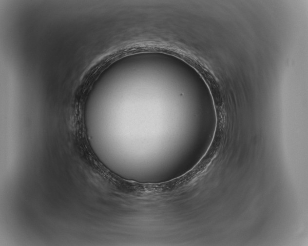 X0000116341494200912091059