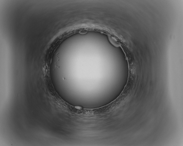 X0000116341495200912091059