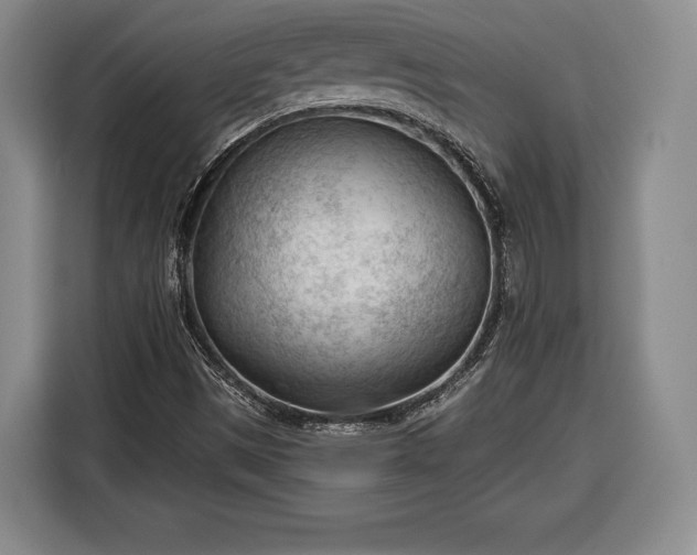 X0000116341497200912091059