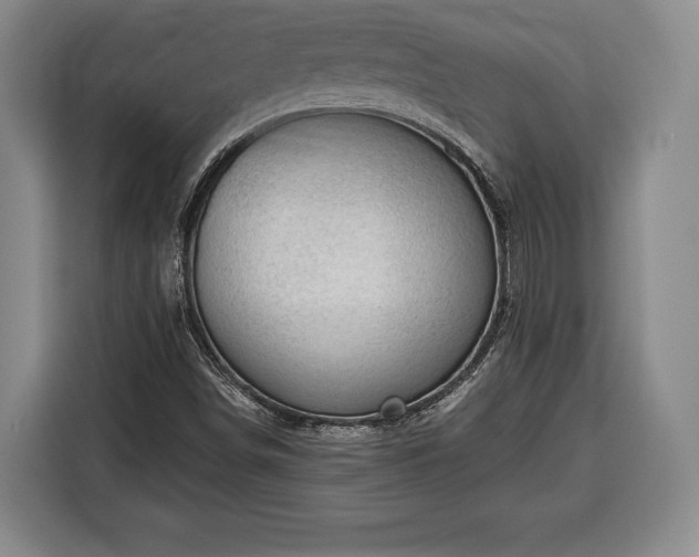 X0000116341498200912091059