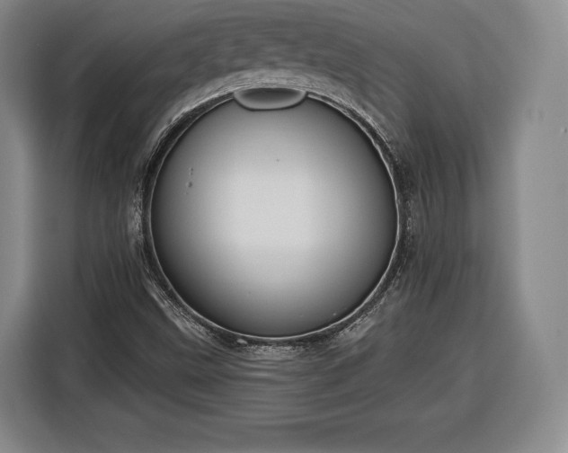 X0000116341499200912091059