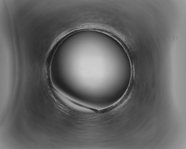 X0000116341501200912091059