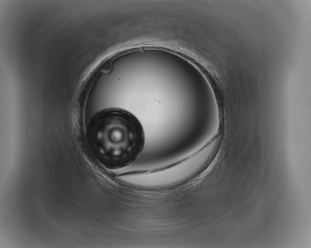 X0000116341502200912091059