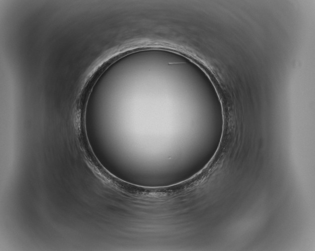 X0000116341503200912091059