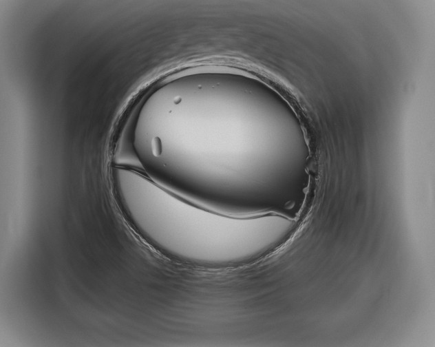 X0000116341506200912091059