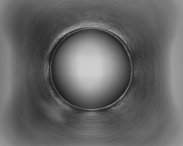 X0000116341507200912091059