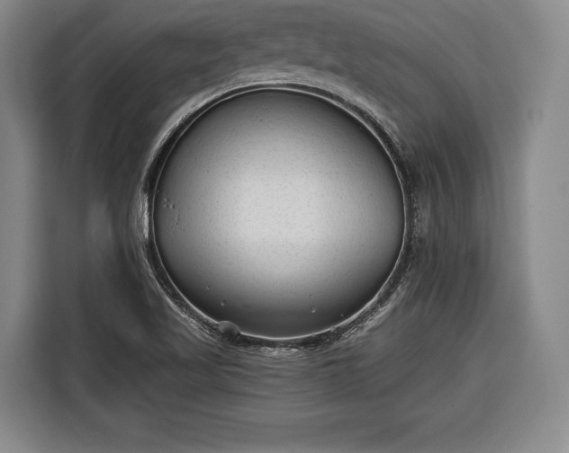 X0000116341509200912091059