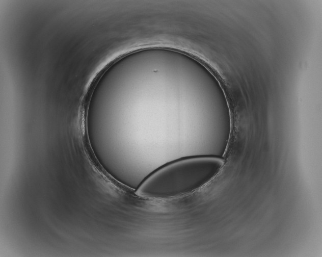 X0000116341510200912091059