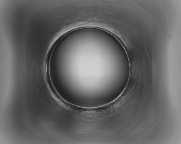 X0000116341511200912091059