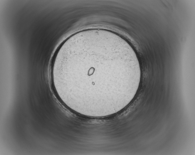 X0000116341514200912091059