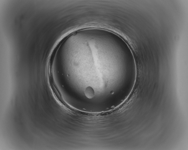 X0000116341515200912091059