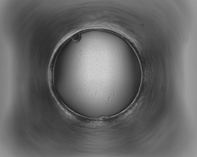 X0000116341517200912091059